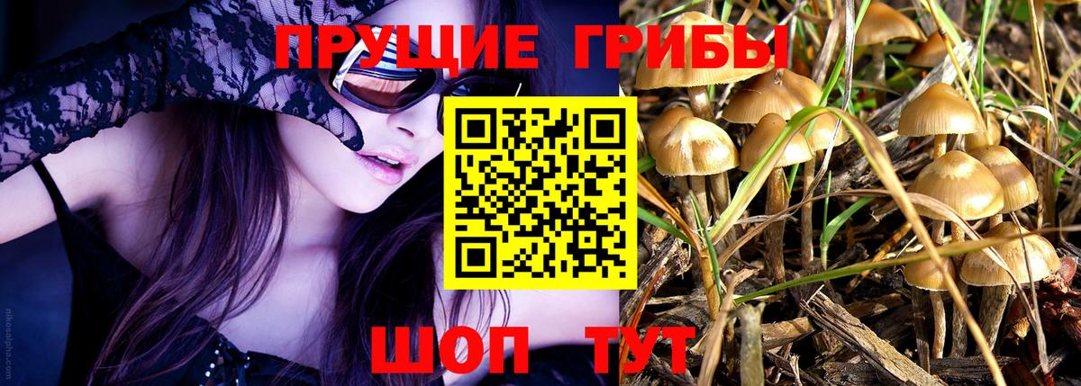 Галлюциногенные грибы MAGIC MUSHROOMS  Псилоцибиновые грибы Magic Shrooms  Вход с VPN  Тольятти 
